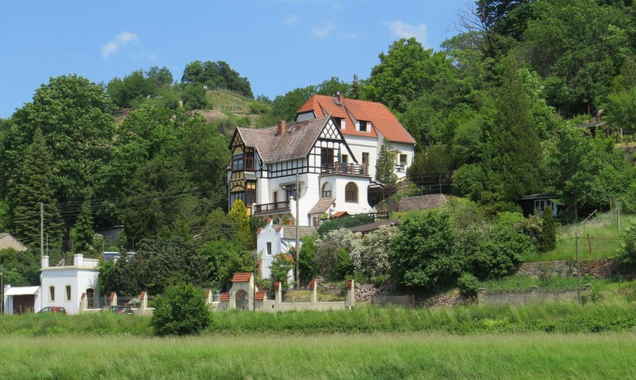 Ferienhaus Elbsommer Am Weinberg II Meißen 外观 照片